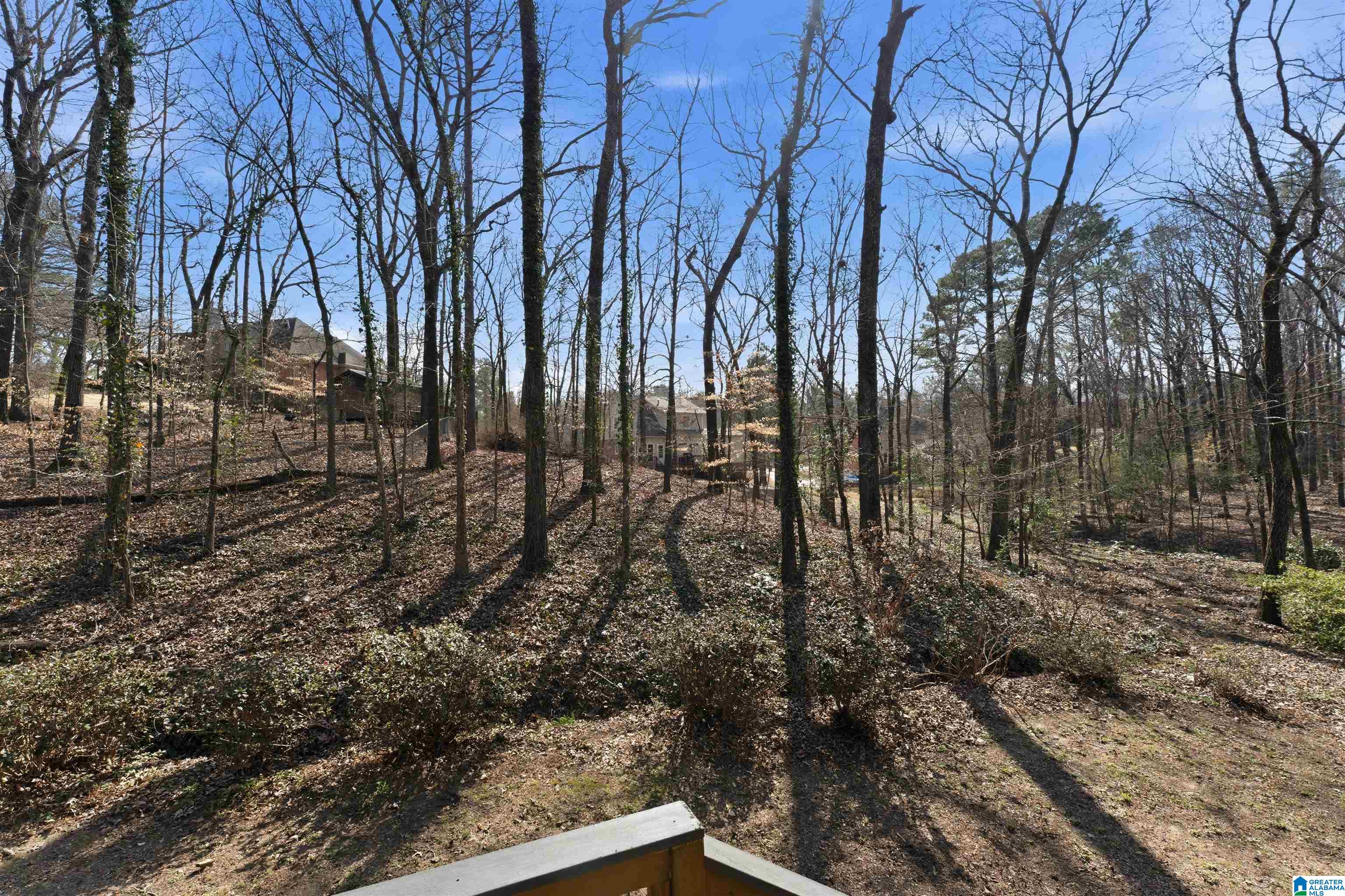 5449 Hickory Ridge Drive Birmingham, AL 35242 - Photo 62 of 72