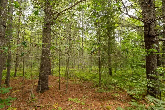 $85,000 | 7 Part Of Map Nelson Ridge Road South, Washington, ME 04574