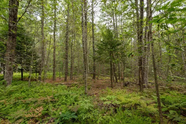 $85,000 | 7 Part Of Map Nelson Ridge Road South, Washington, ME 04574