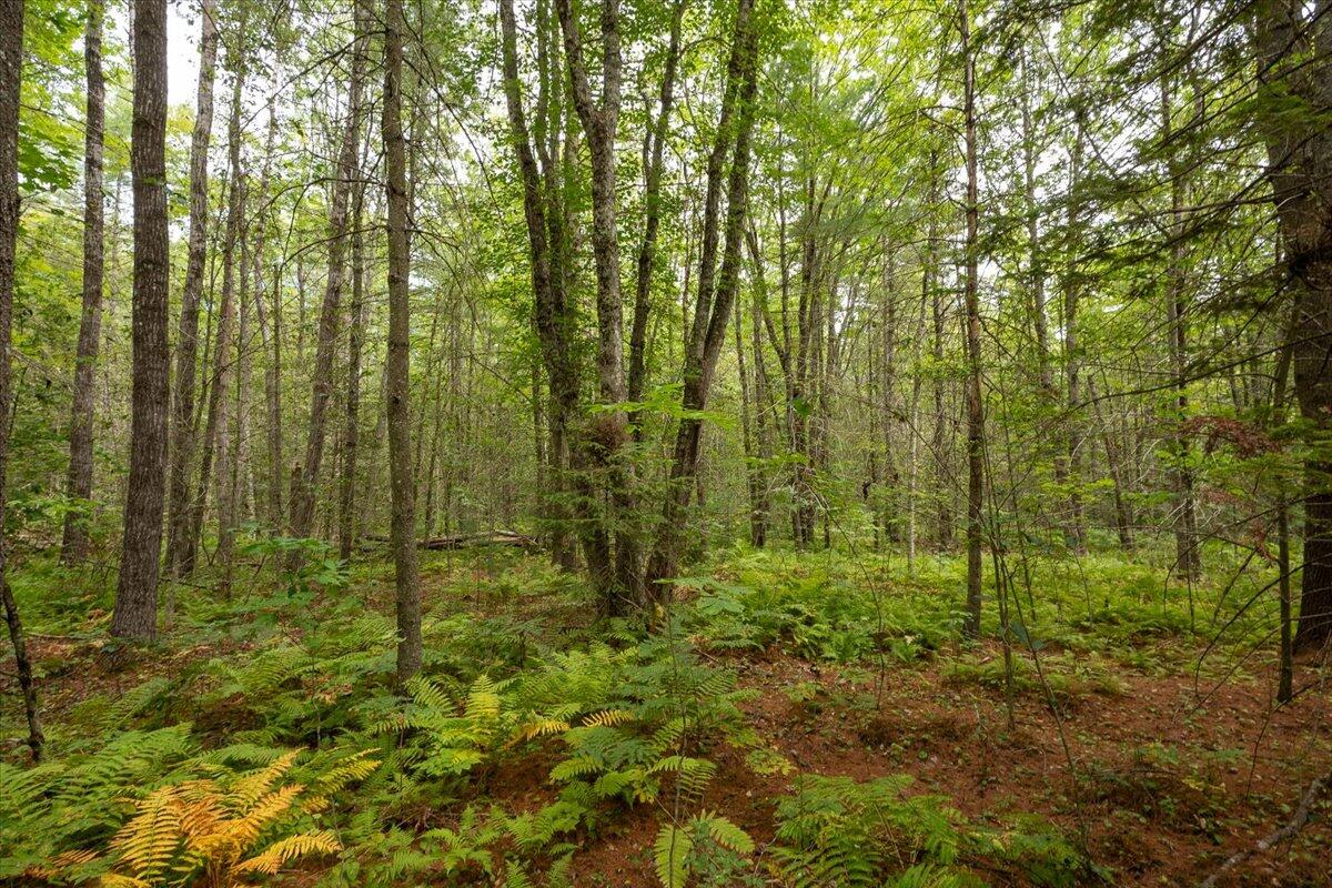 7 Part Of Map Nelson Ridge Road South Washington, ME 04574 - Photo 6 of 14 Nelson Ridge Road S, Washington