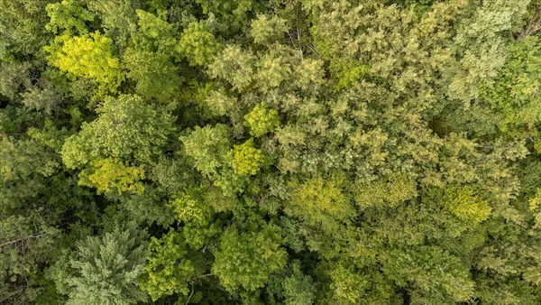 $85,000 | 7 Part Of Map Nelson Ridge Road South, Washington, ME 04574