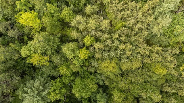 $85,000 | 7 Part Of Map Nelson Ridge Road South, Washington, ME 04574