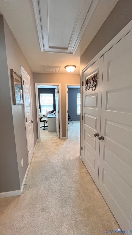 223 Whiteside Road Sandston, VA 23150 - Photo 19 of 22 Carpeted hallway featuring multiple paneled doors