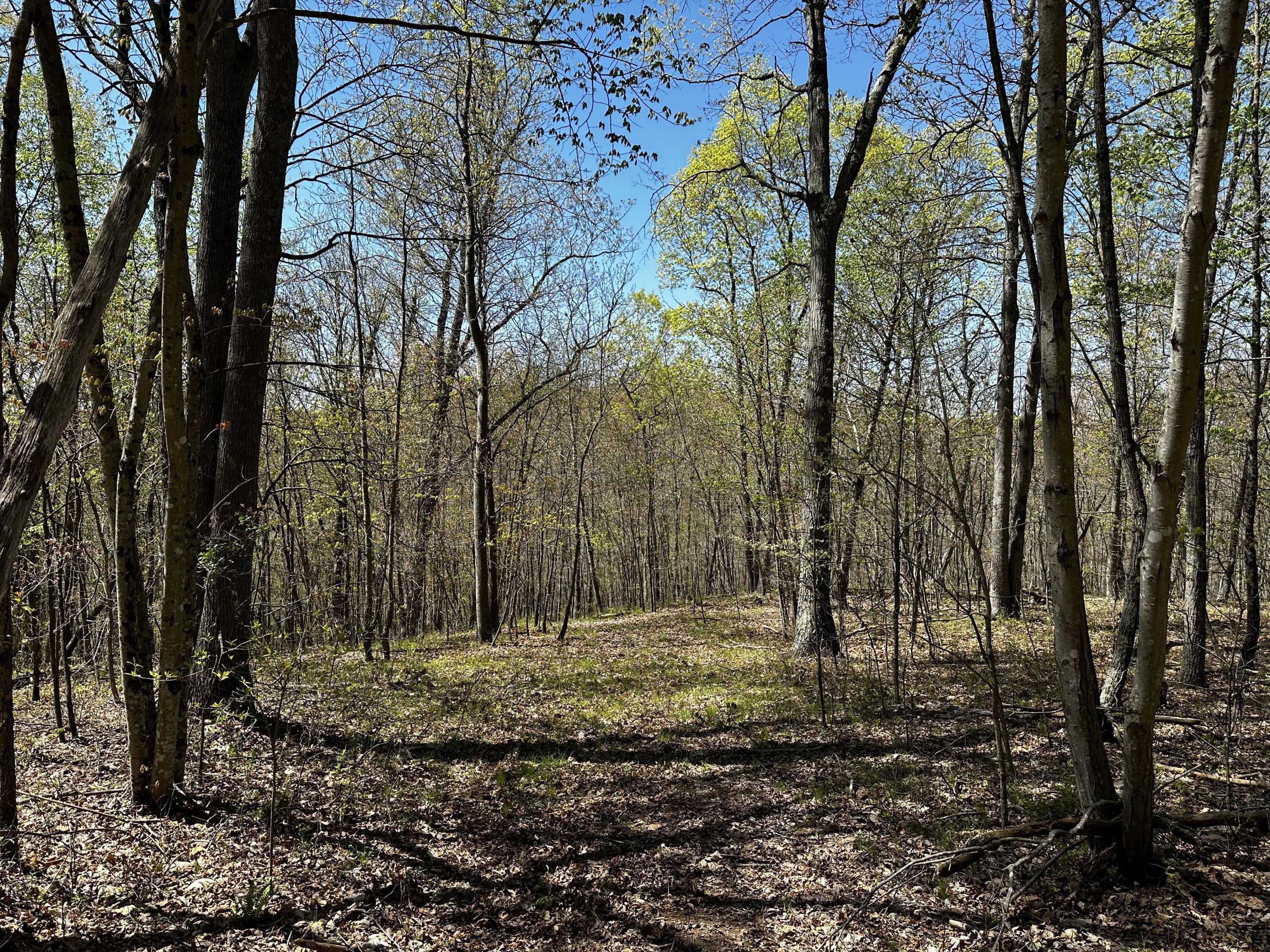 0 Jisco Road, Unit TRACT B) Jackson, OH 45640 - Photo 41 of 43 41