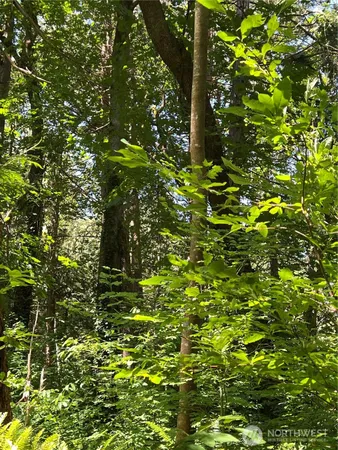 $219,500 | 6-acres South Beach Road, Point Roberts, WA 98281