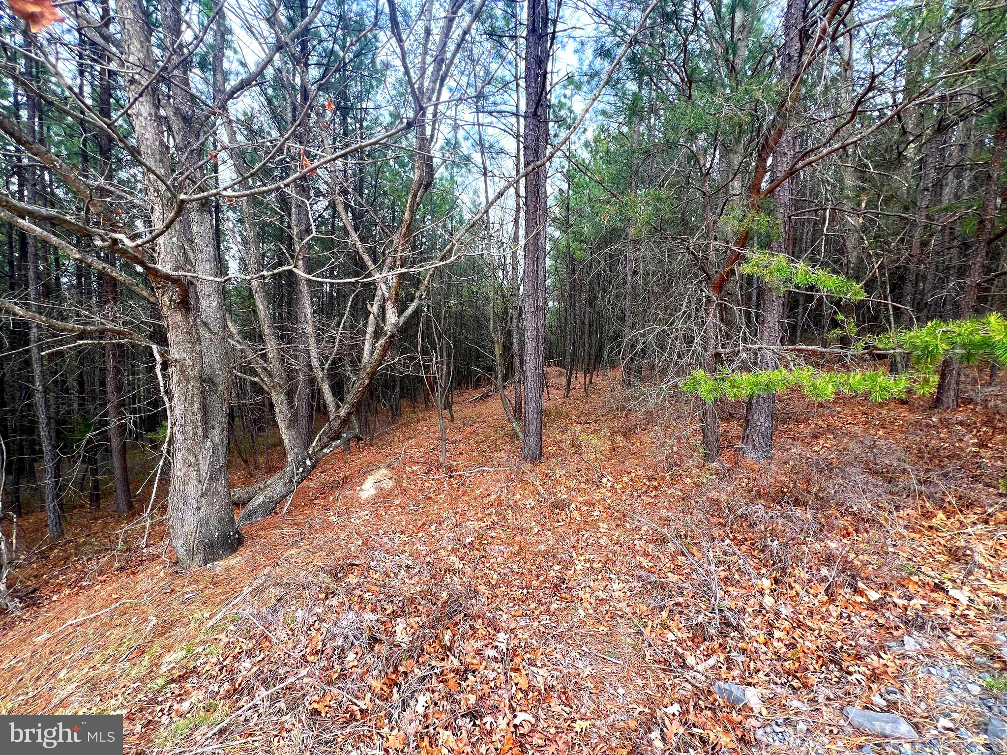 85 Trough View Road Moorefield, WV 26836 - Photo 25 of 42 a backyard of a house with lots of green space
