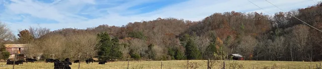 $825,000 | 355 North Austin Springs Road, Piney Flats, TN 37686