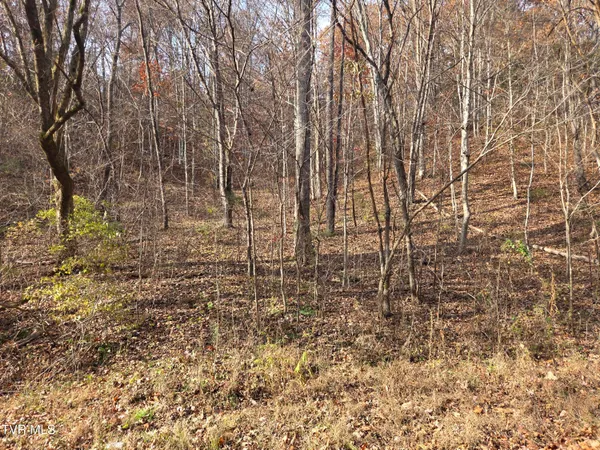 $825,000 | 355 North Austin Springs Road, Piney Flats, TN 37686