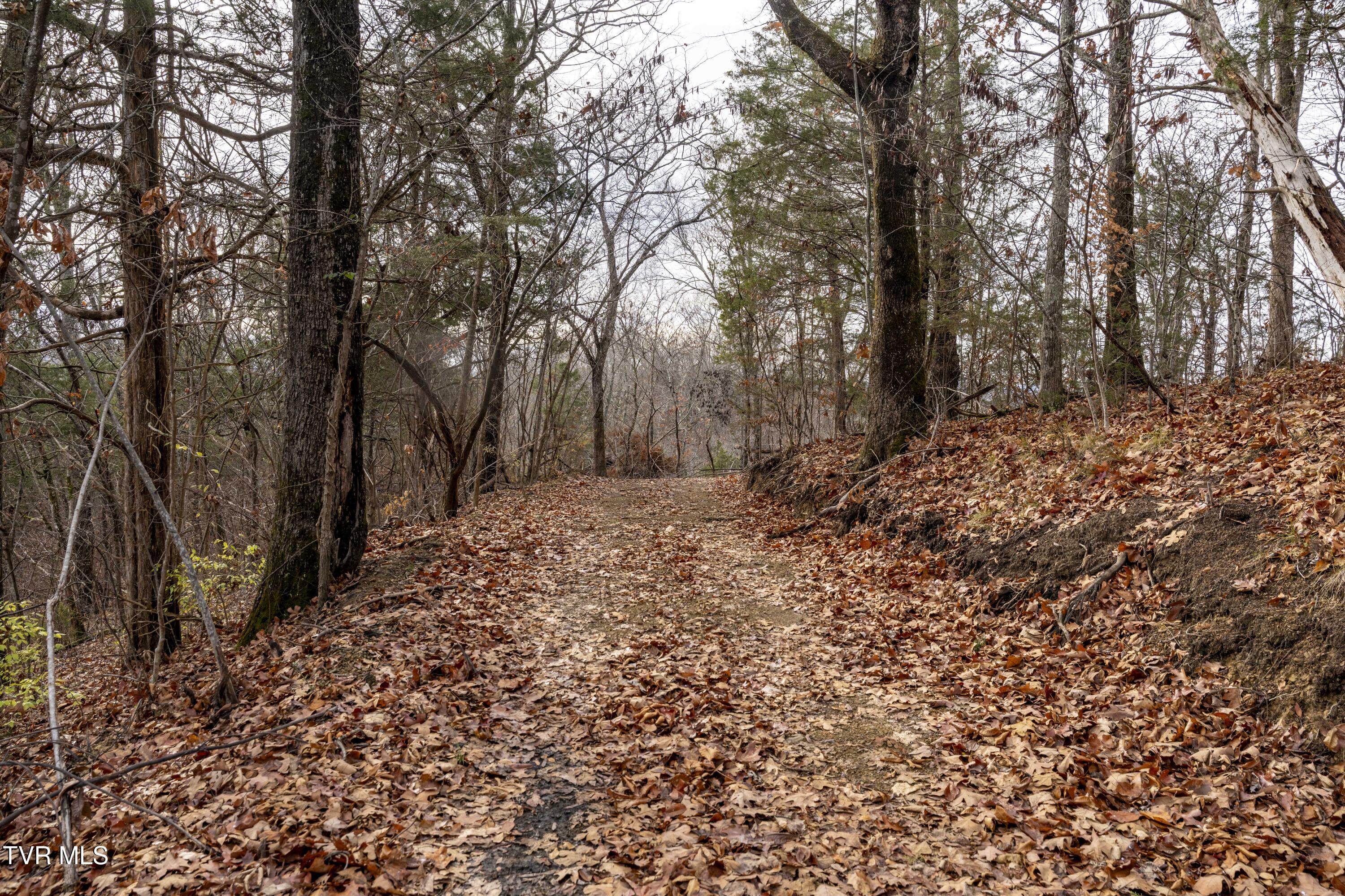 355 North Austin Springs Road Piney Flats, TN 37686 - Photo 20 of 27 AustinSprings-Land--6
