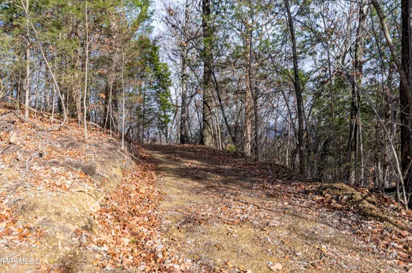 $825,000 | 355 North Austin Springs Road, Piney Flats, TN 37686