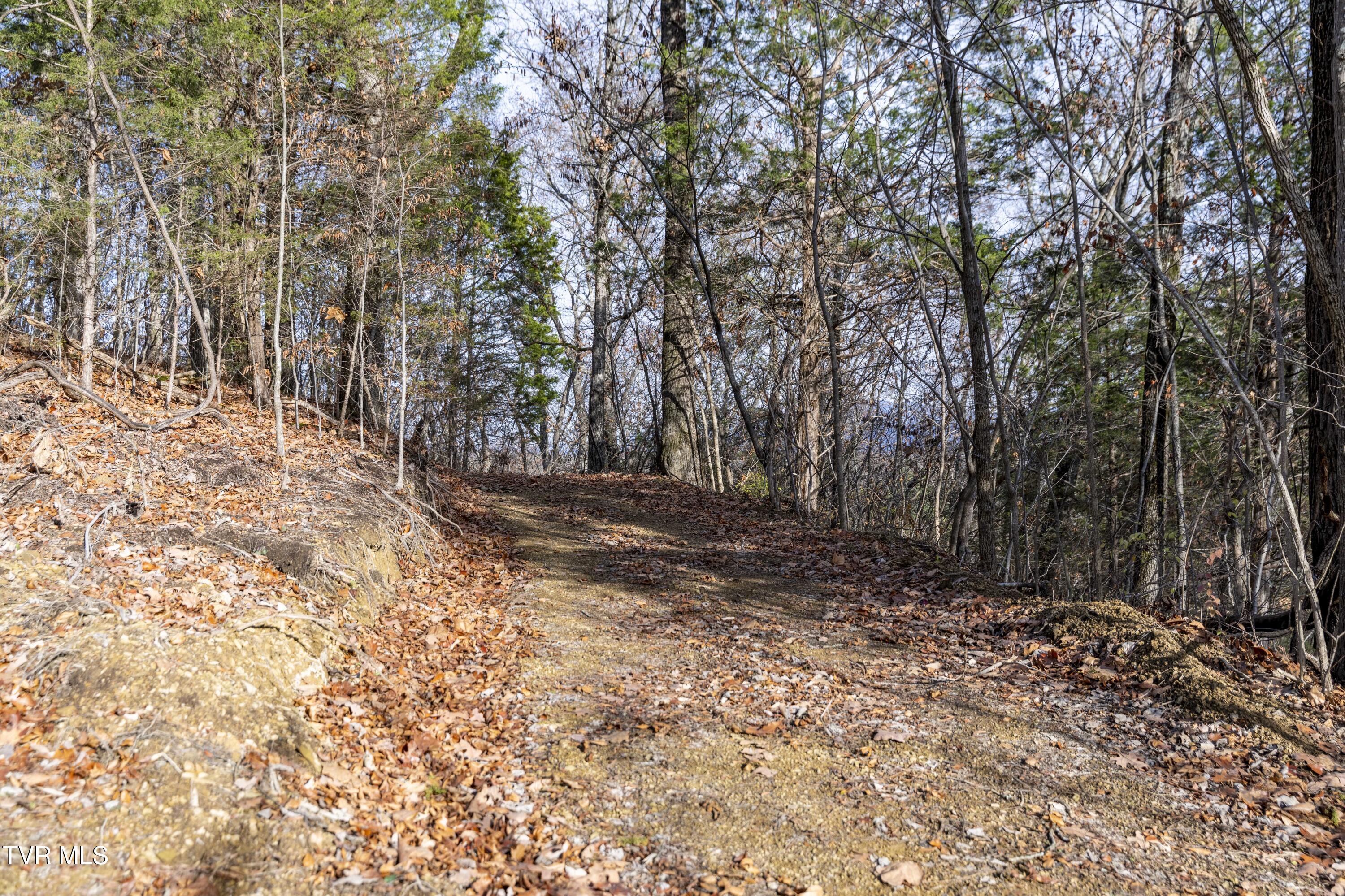355 North Austin Springs Road Piney Flats, TN 37686 - Photo 21 of 27 AustinSprings-Land--8