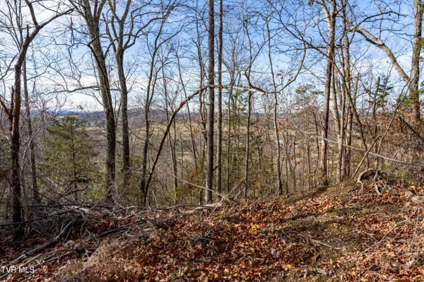$825,000 | 355 North Austin Springs Road, Piney Flats, TN 37686