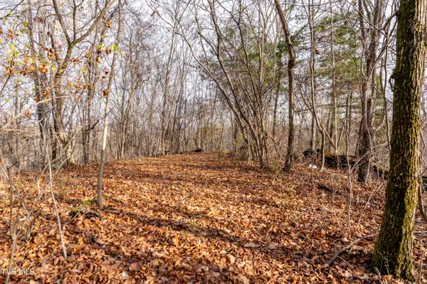 $825,000 | 355 North Austin Springs Road, Piney Flats, TN 37686