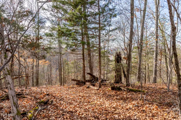 $825,000 | 355 North Austin Springs Road, Piney Flats, TN 37686