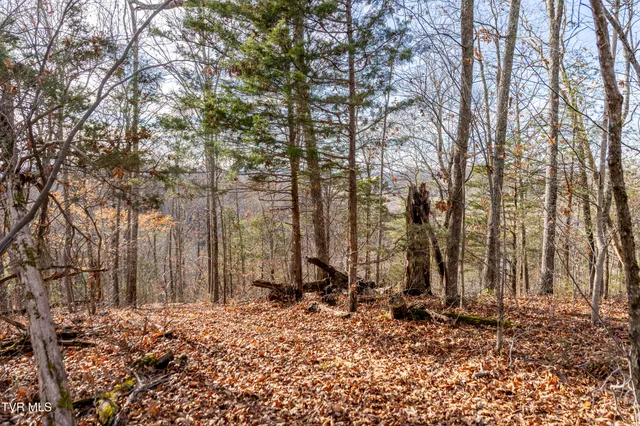 $825,000 | 355 North Austin Springs Road, Piney Flats, TN 37686