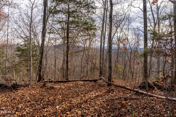 $825,000 | 355 North Austin Springs Road, Piney Flats, TN 37686