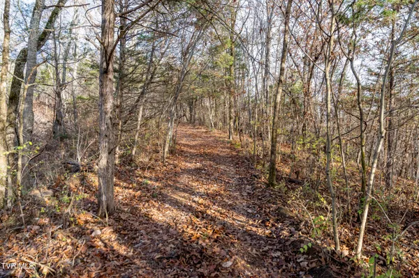 $825,000 | 355 North Austin Springs Road, Piney Flats, TN 37686