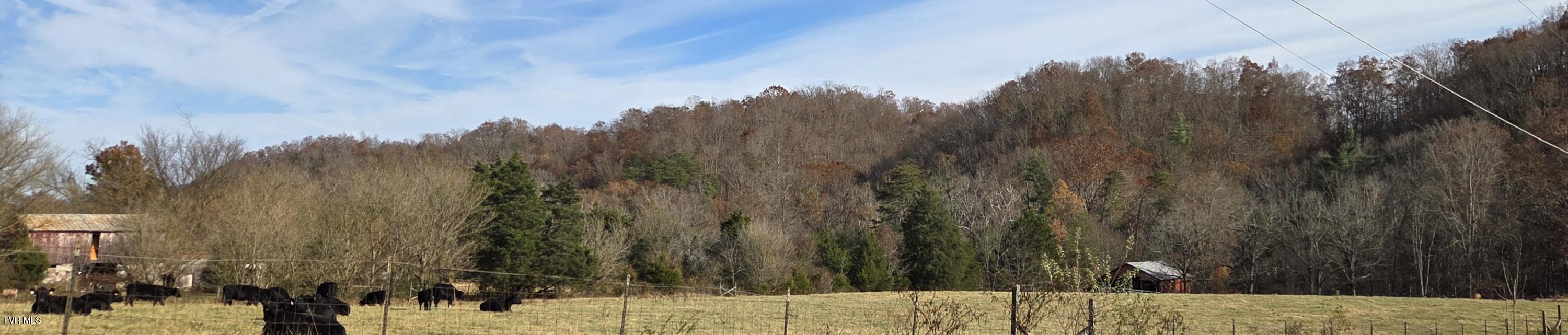 355 North Austin Springs Road Piney Flats, TN 37686 - Photo 3 of 27 1