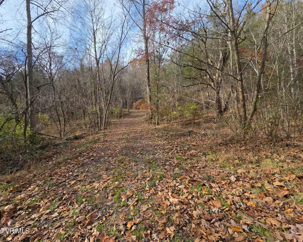 $825,000 | 355 North Austin Springs Road, Piney Flats, TN 37686