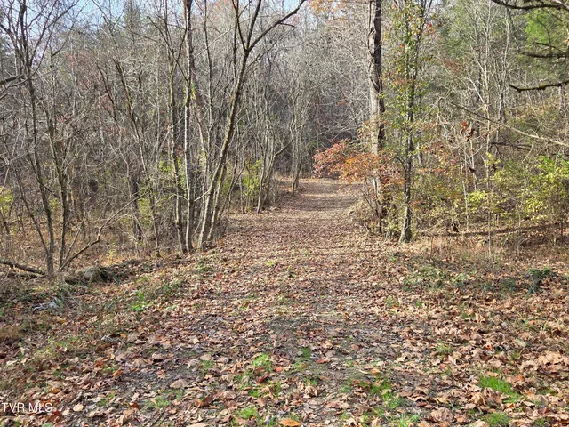 $825,000 | 355 North Austin Springs Road, Piney Flats, TN 37686