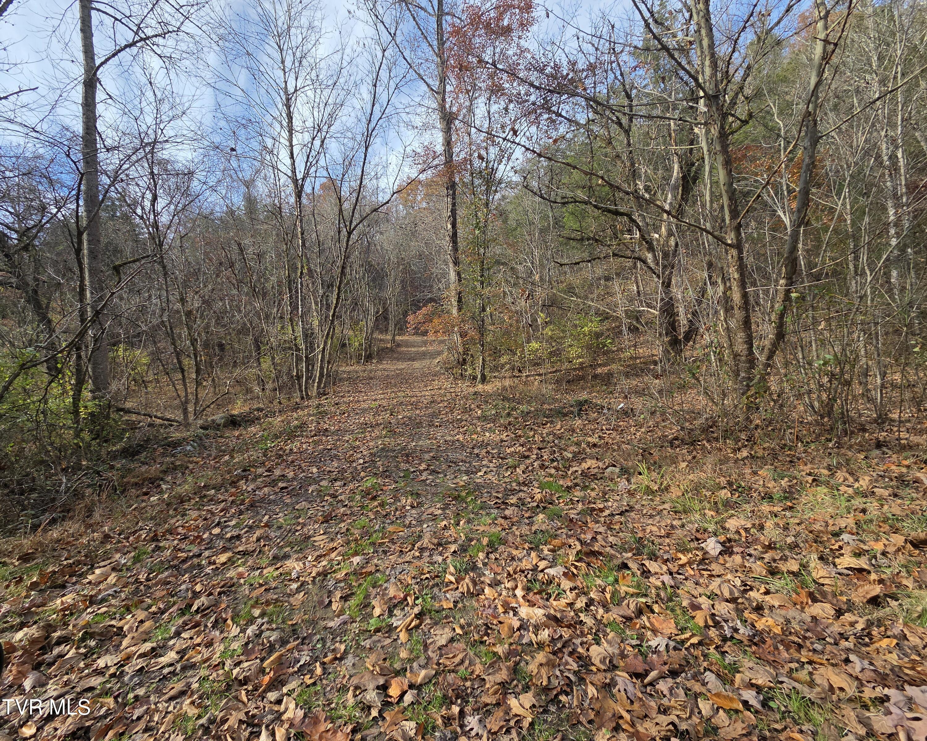 355 North Austin Springs Road Piney Flats, TN 37686 - Photo 7 of 27 5