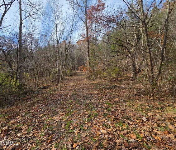 $825,000 | 355 North Austin Springs Road, Piney Flats, TN 37686