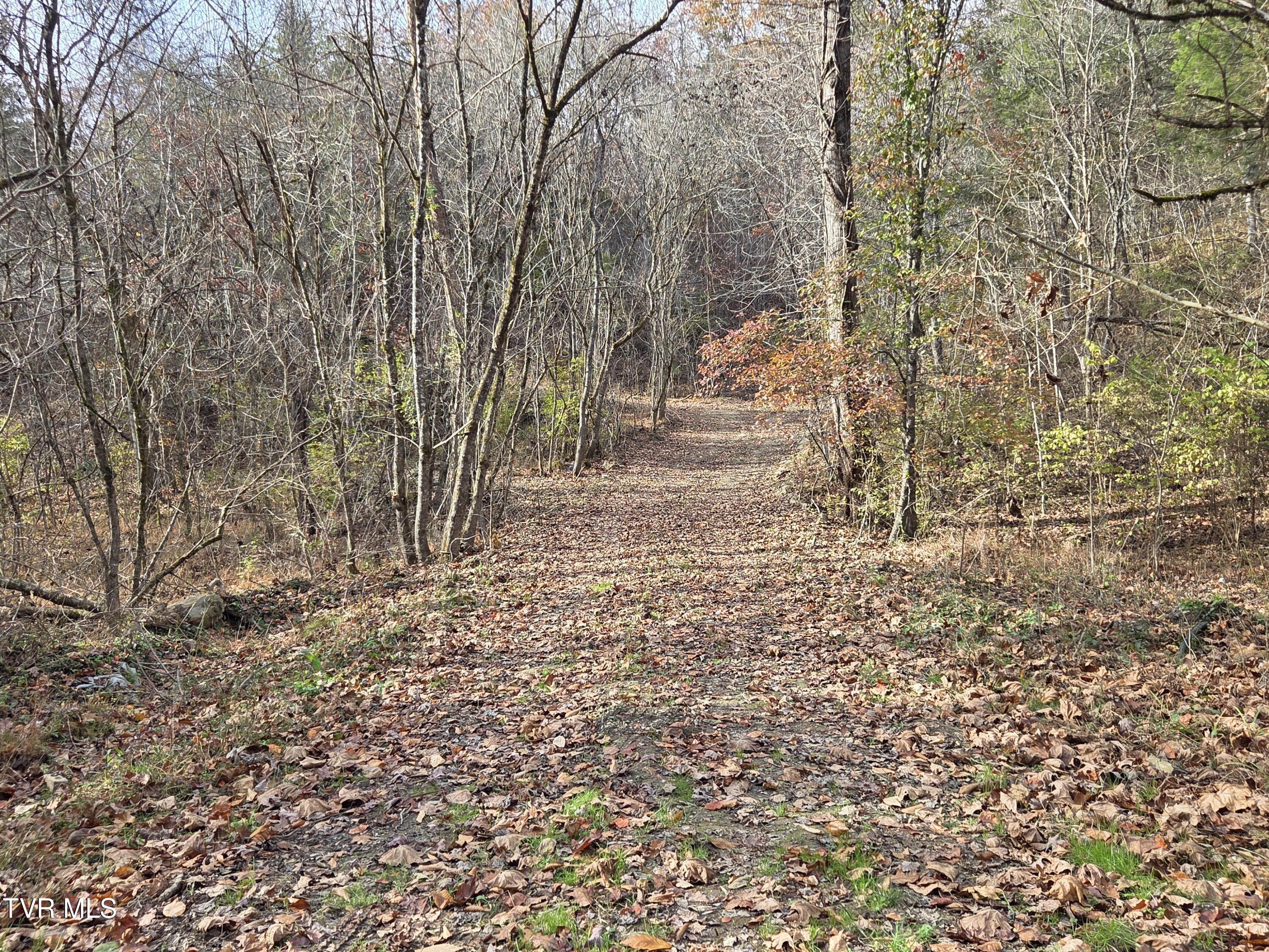355 North Austin Springs Road Piney Flats, TN 37686 - Photo 8 of 27 6