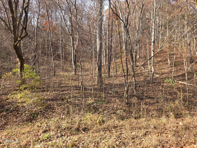 $825,000 | 355 North Austin Springs Road, Piney Flats, TN 37686