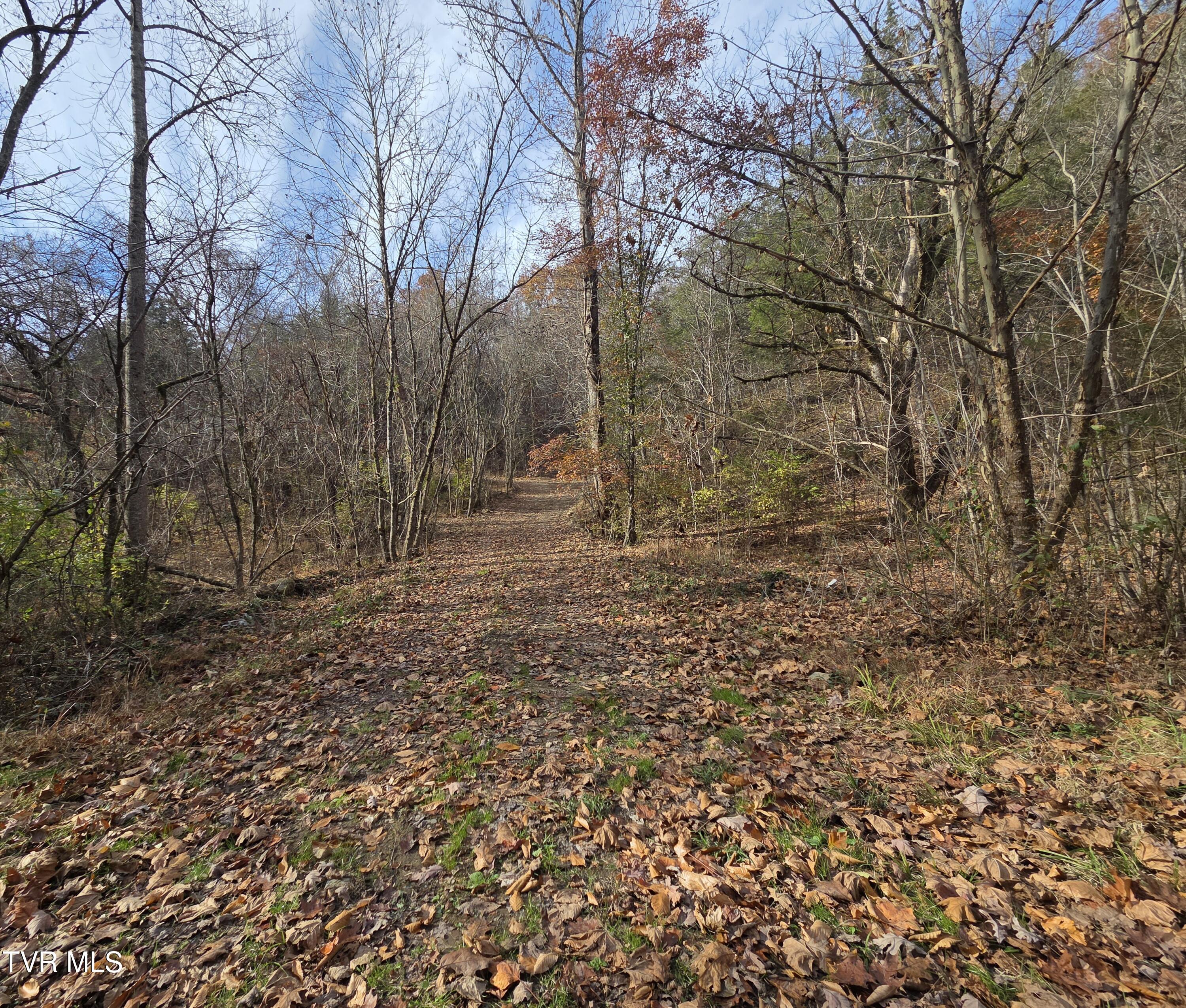 355 North Austin Springs Road Piney Flats, TN 37686 - Photo 9 of 27 7