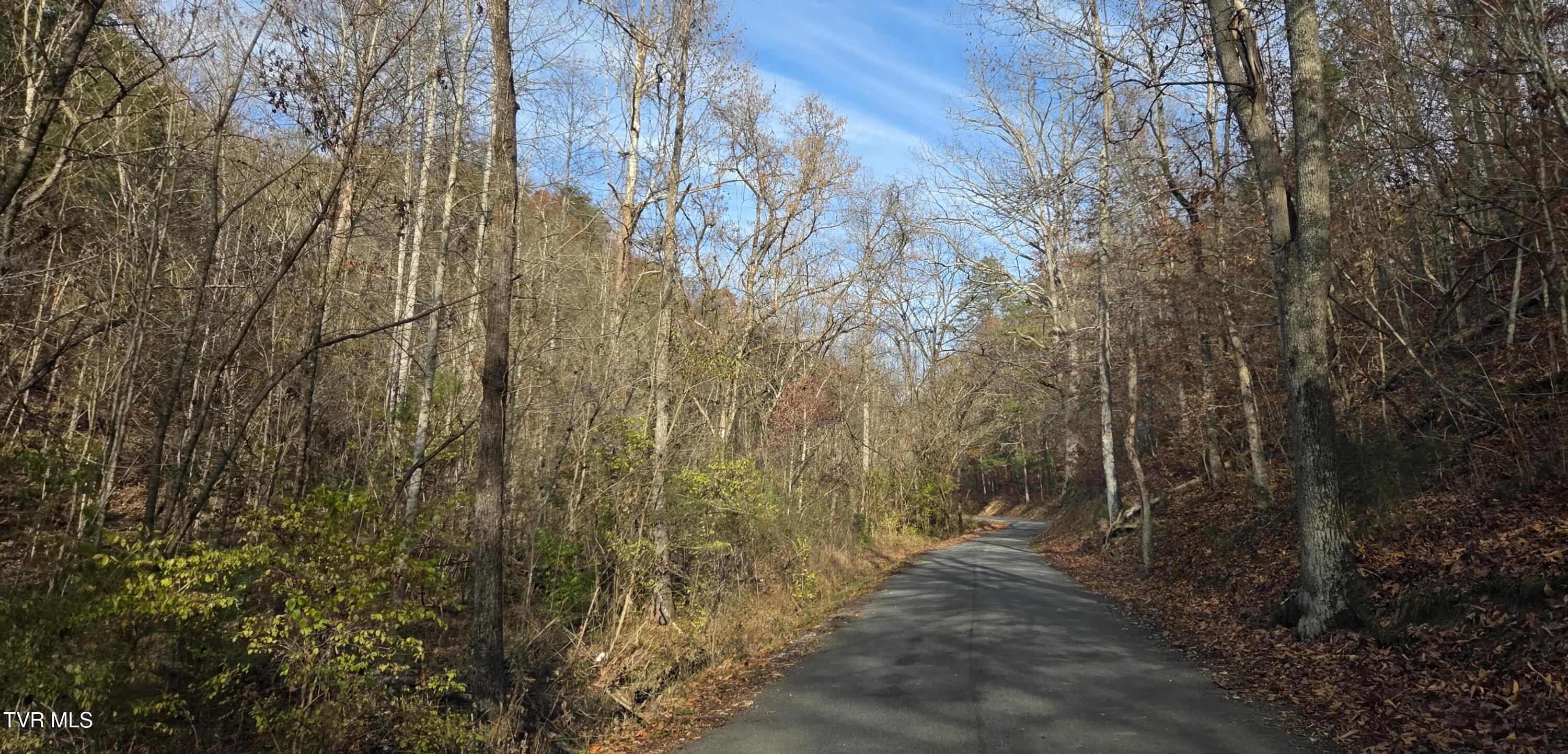 355 North Austin Springs Road Piney Flats, TN 37686 - Photo 10 of 27 8