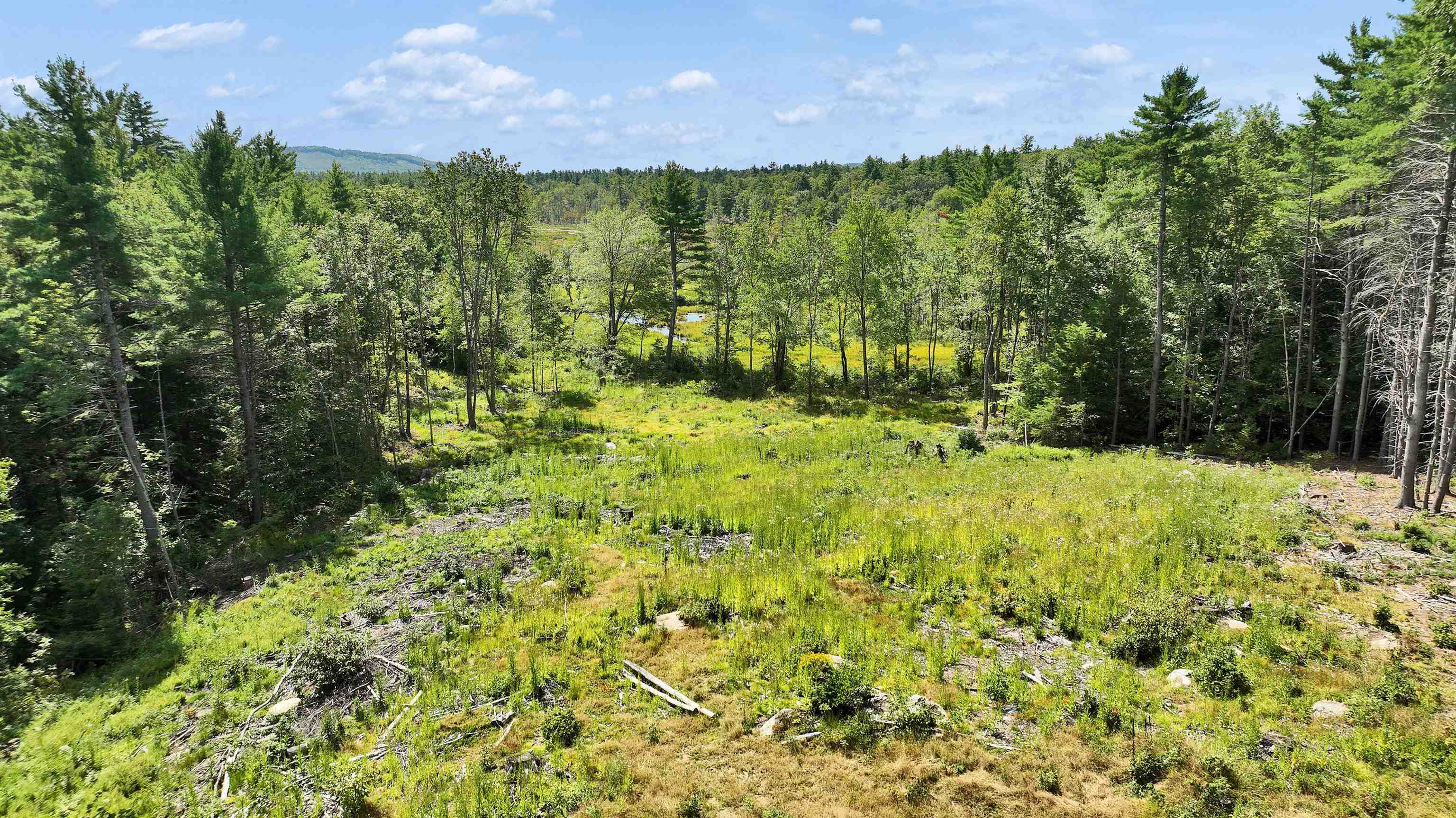 50 Mulhall Farm Road Antrim, NH 03440 - Photo 19 of 27