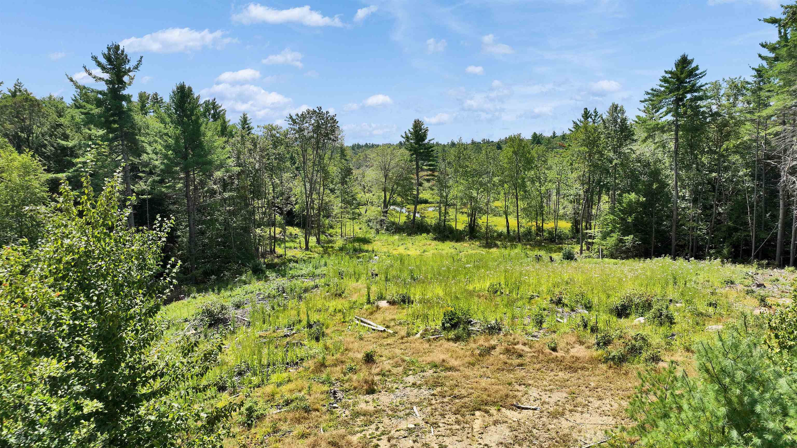 50 Mulhall Farm Road Antrim, NH 03440 - Photo 20 of 27