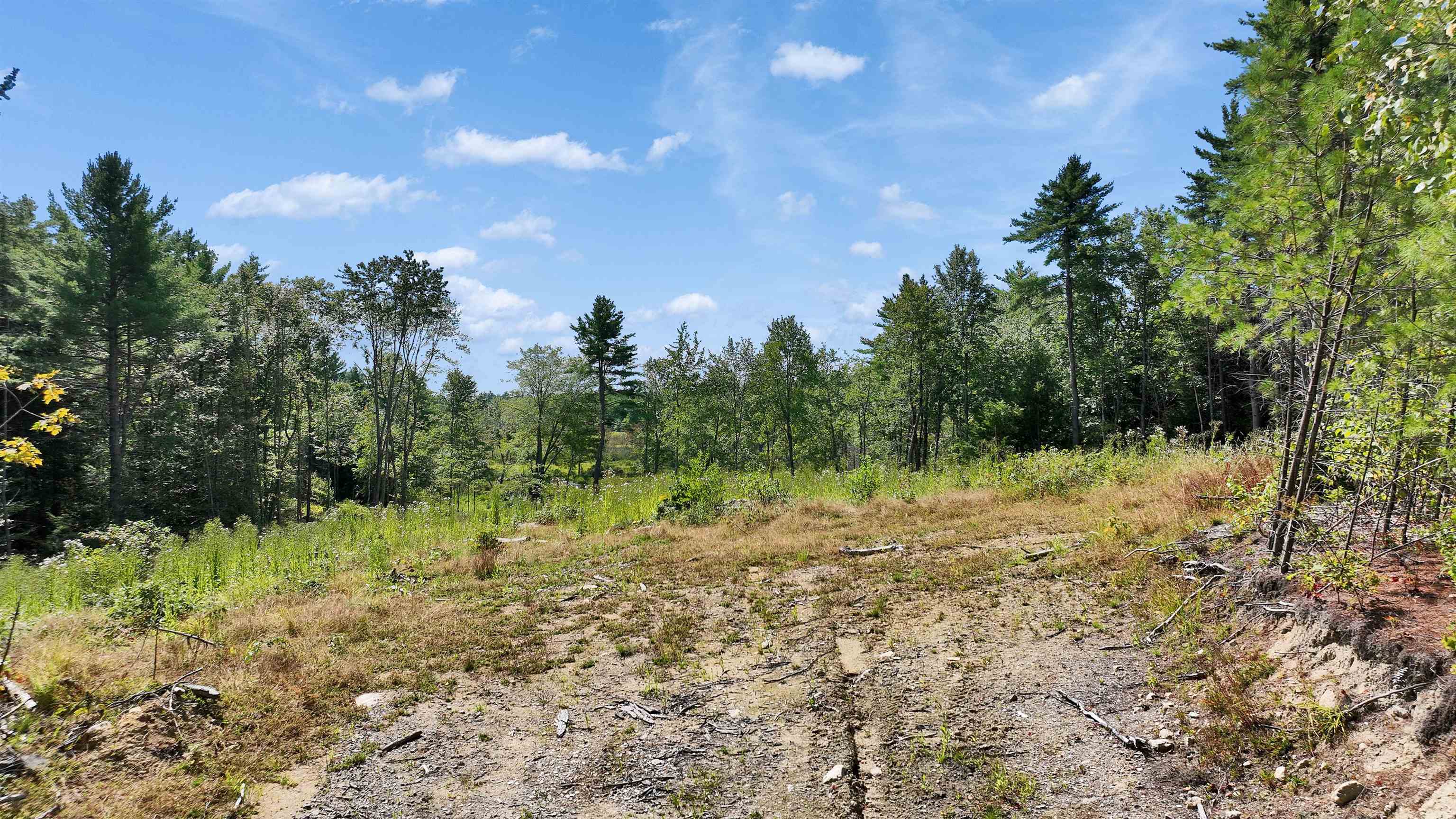 50 Mulhall Farm Road Antrim, NH 03440 - Photo 3 of 27
