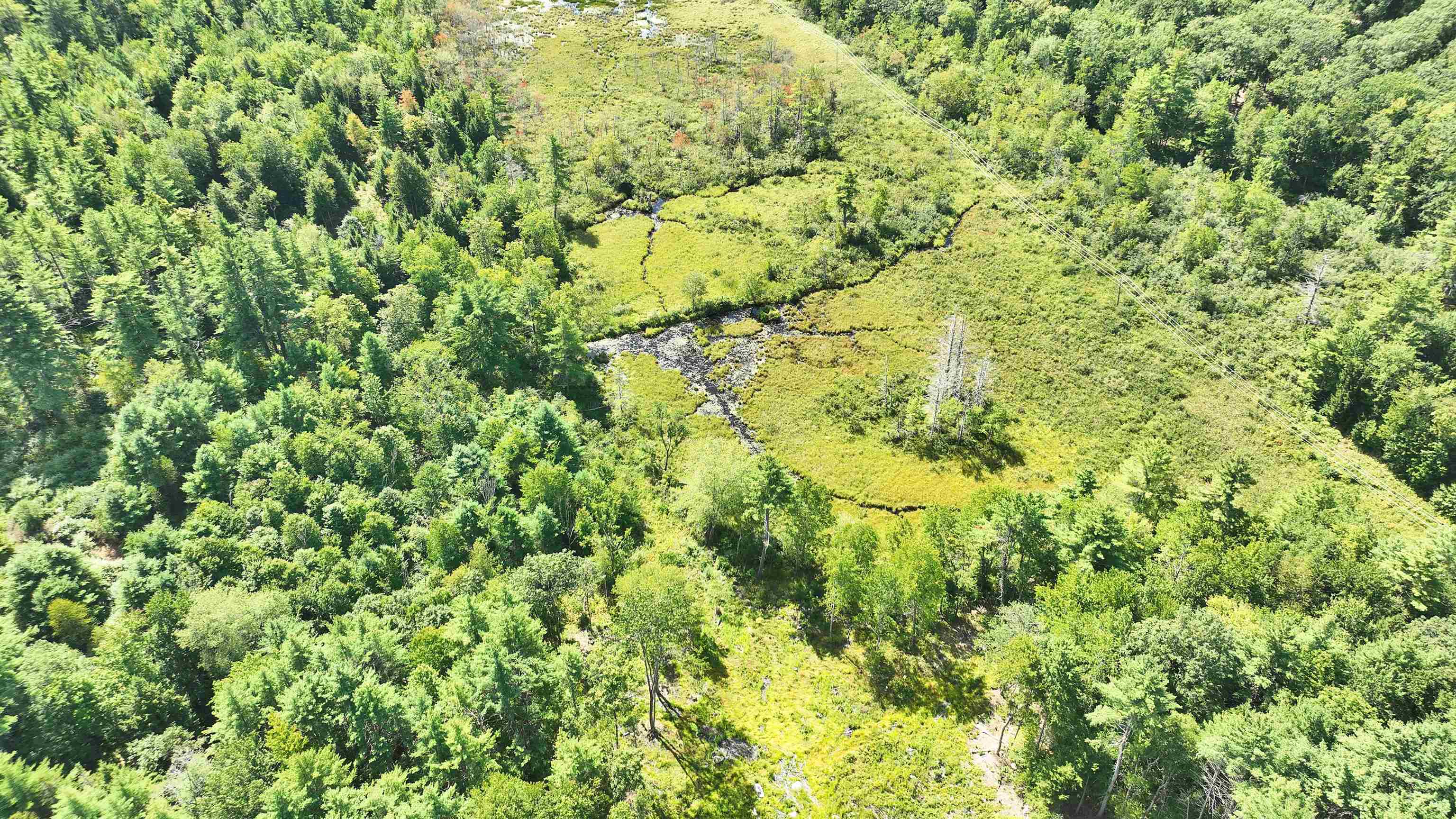 50 Mulhall Farm Road Antrim, NH 03440 - Photo 6 of 27
