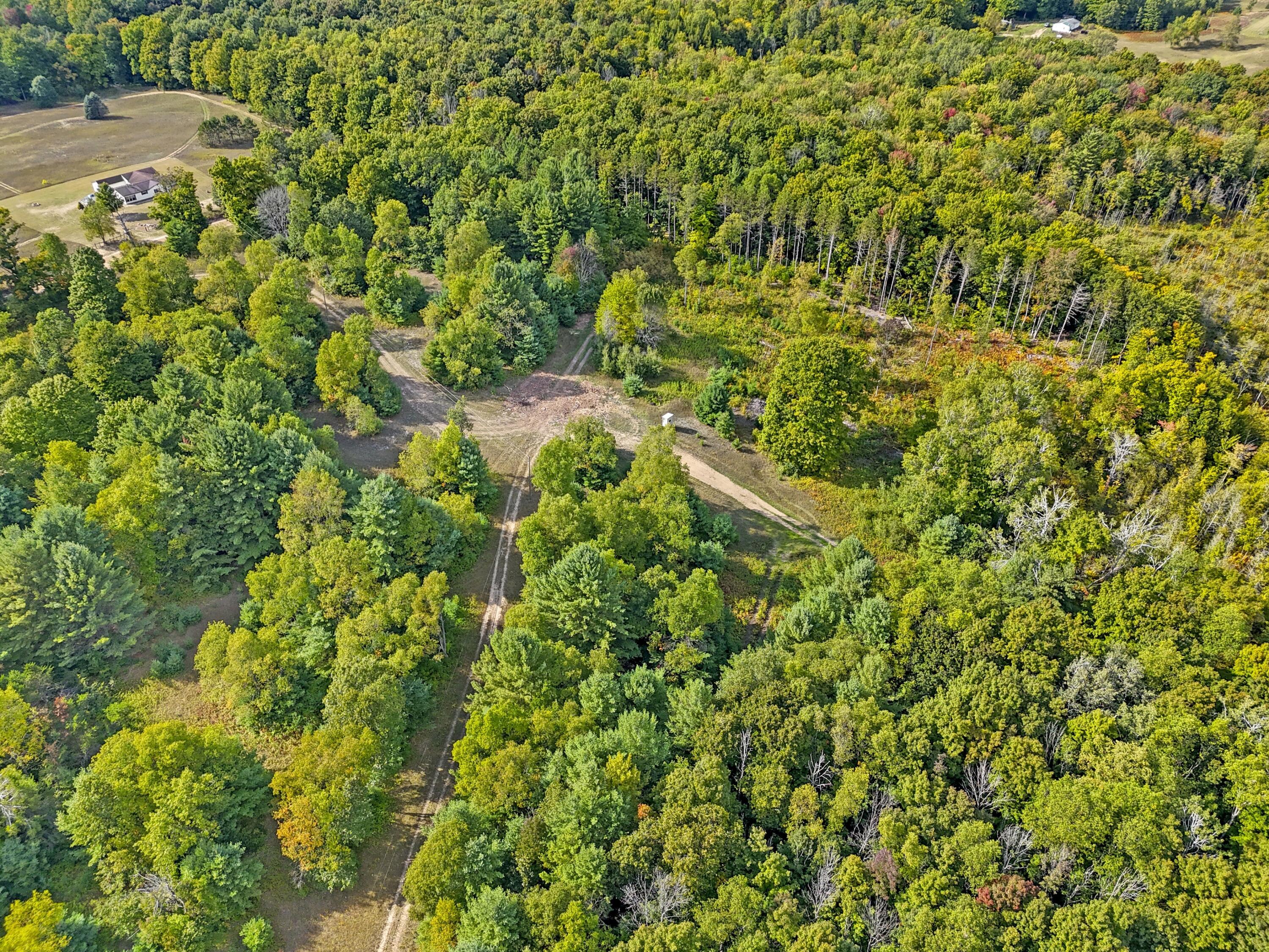 1464 North Raymond Road Luther, MI 49656 - Photo 18 of 31 DJI_20250910045626_0491_D