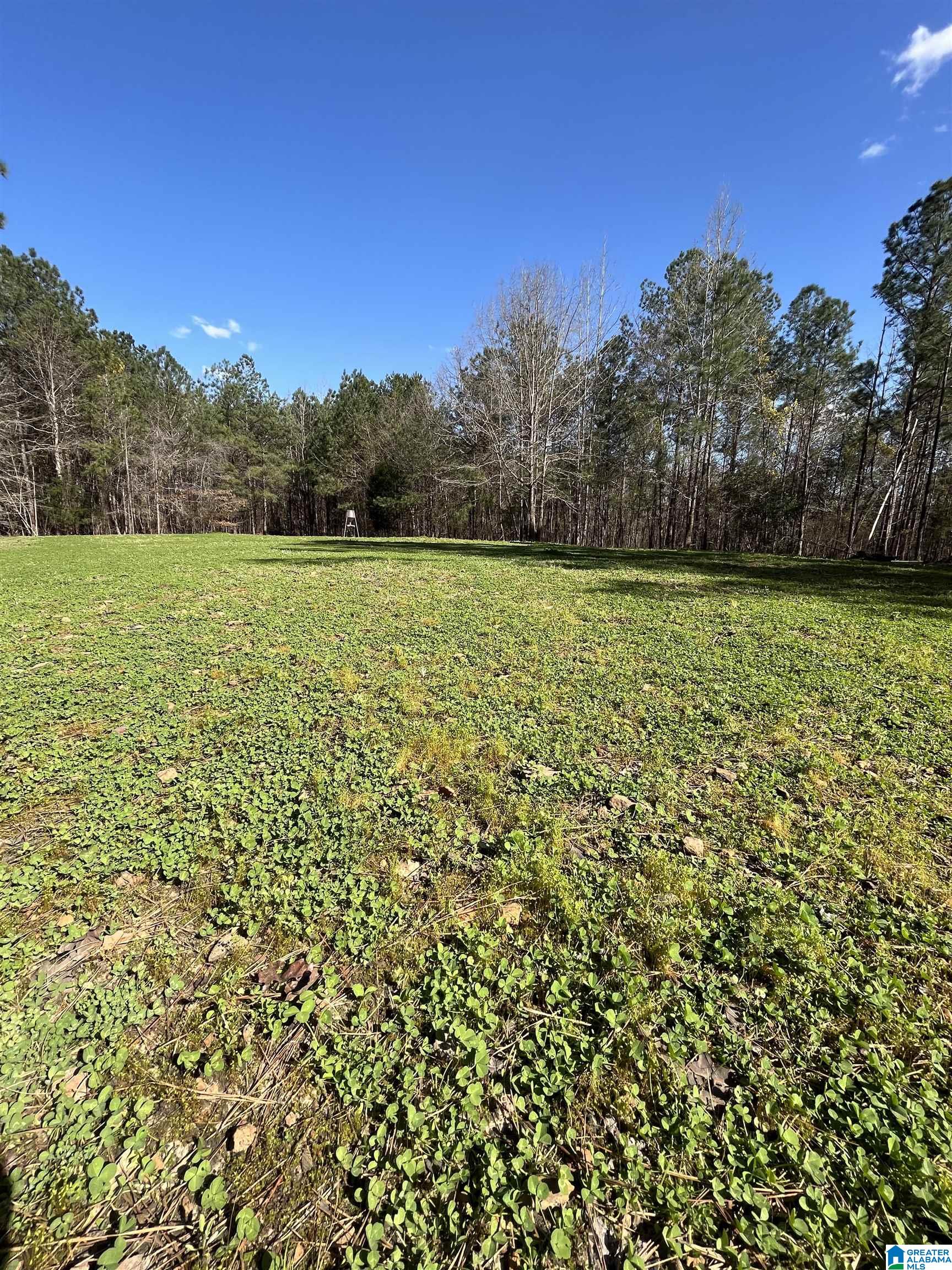 1354 Yeager Road Brent, AL 35034 - Photo 43 of 50 Gallery Image 43