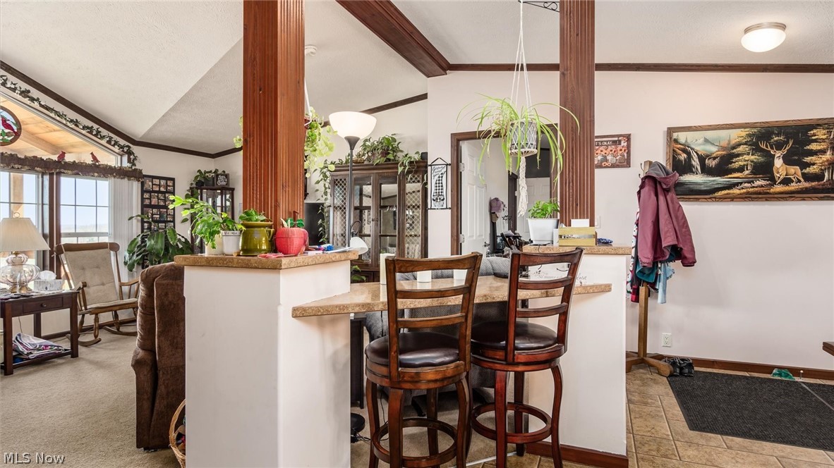 66092 Pisgah Road Quaker City, OH 43773 - Photo 11 of 28 Bar featuring vaulted ceiling and light carpet