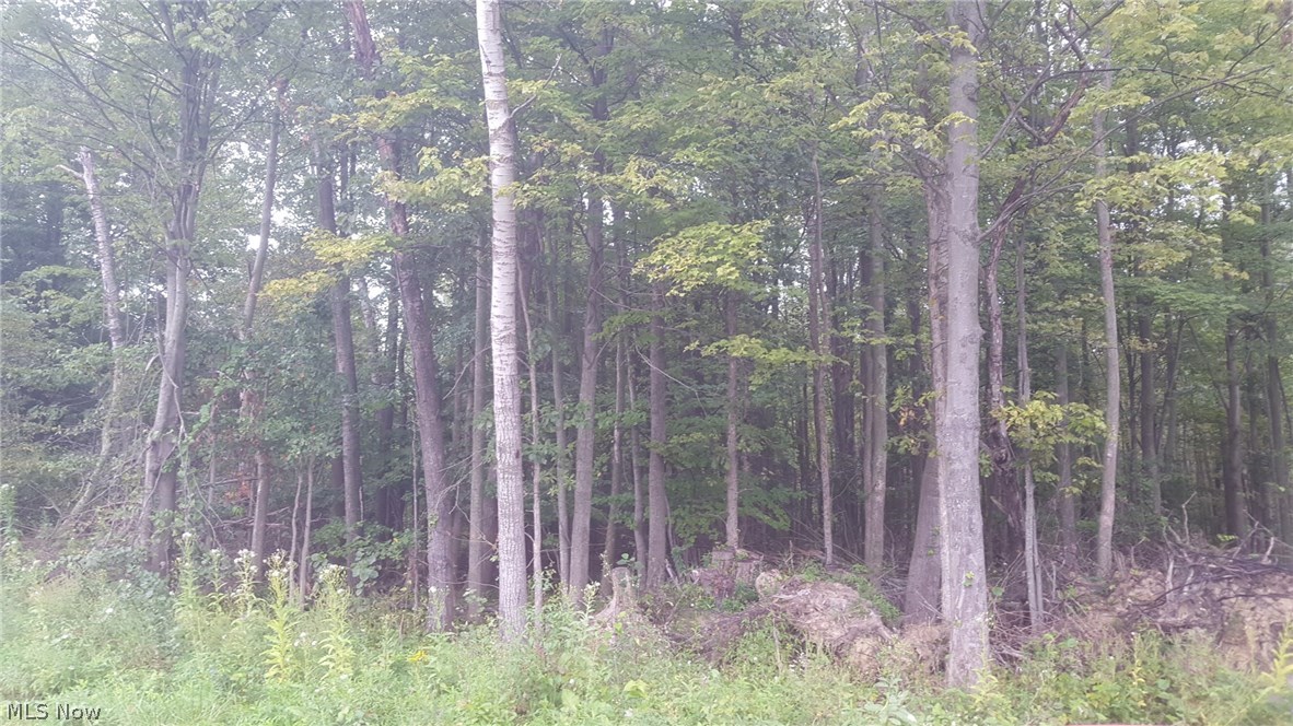 1270 Lewis Road Pierpont, OH 44082 - Photo 4 of 11 Gallery Image 4