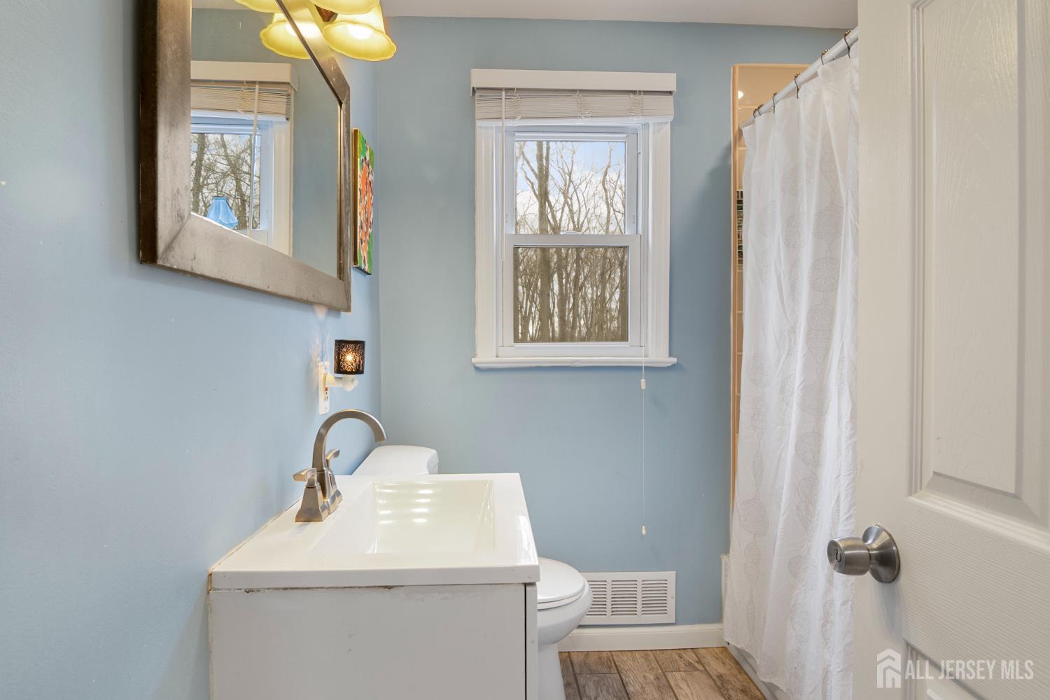 238 Princeton Hightstown Road Cranbury, NJ 08512 - Photo 16 of 51 a bathroom with a sink a toilet and a window
