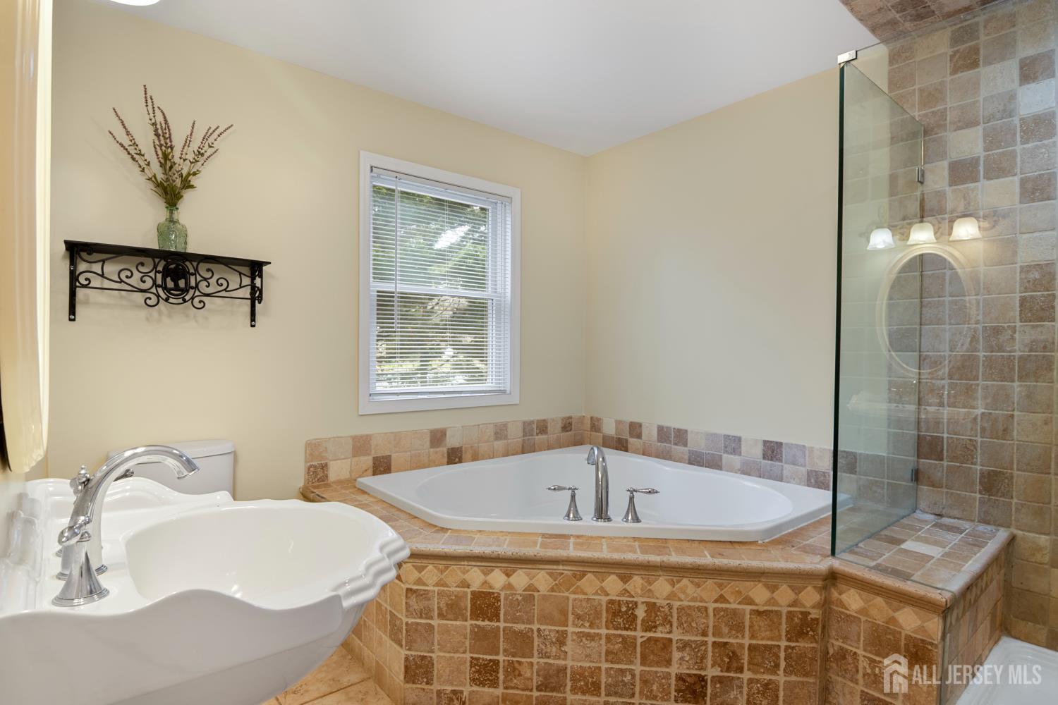 238 Princeton Hightstown Road Cranbury, NJ 08512 - Photo 20 of 51 a bathroom with a tub sink and mirror
