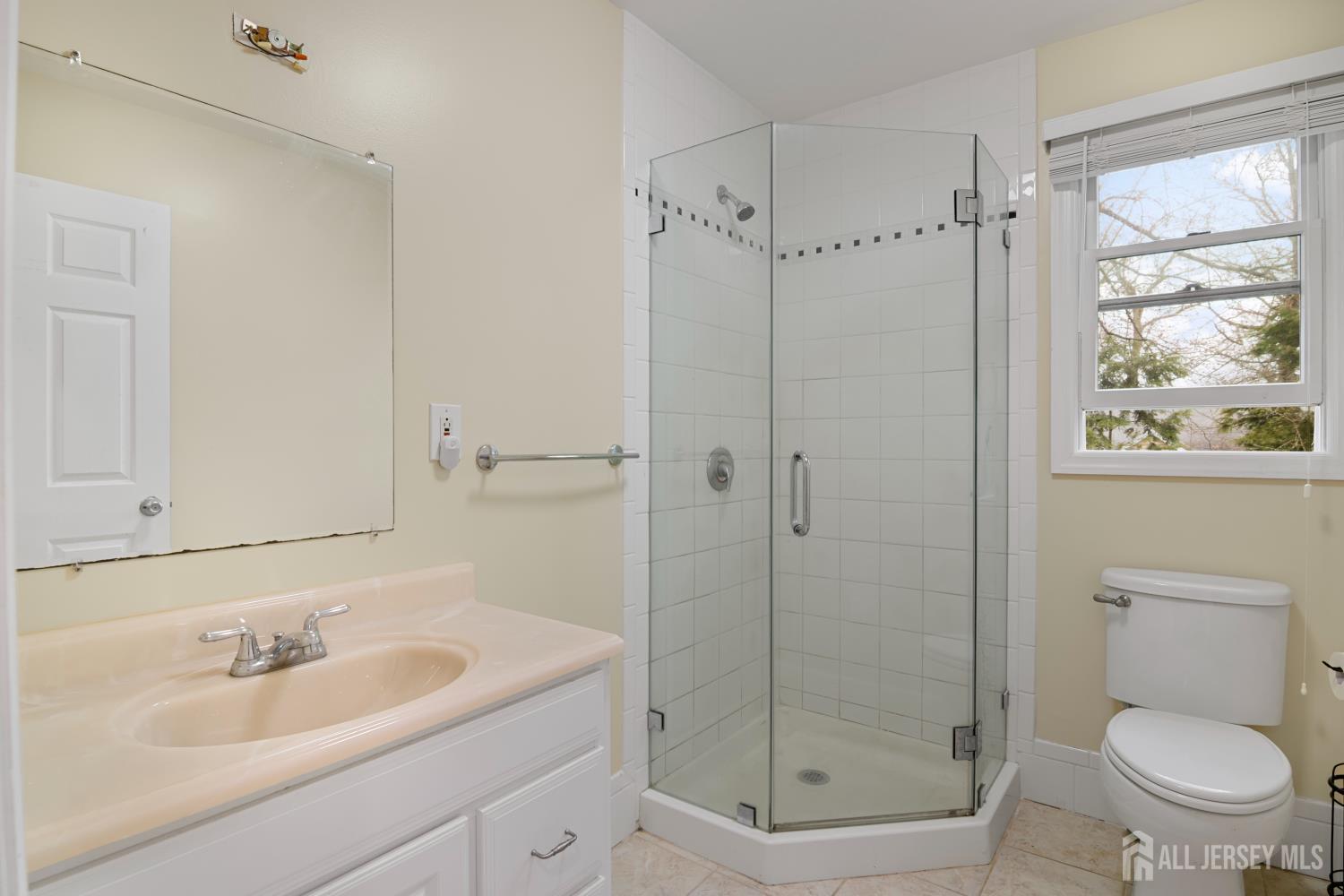 238 Princeton Hightstown Road Cranbury, NJ 08512 - Photo 29 of 51 a bathroom with a sink a toilet and shower