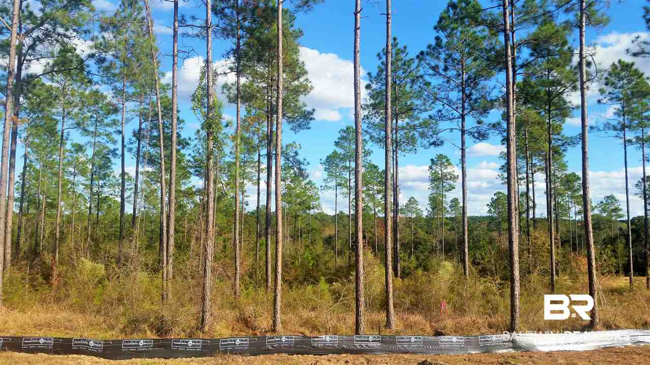 26441 Rosedown Lane Daphne, AL 36526 - Photo 18 of 20 Private. Beautiful terrain. Mature trees.