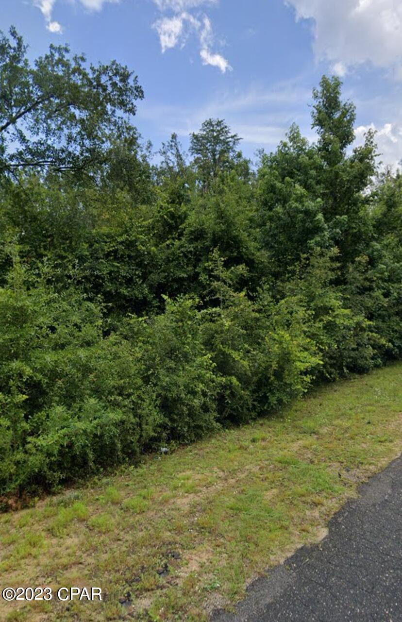 Xxxx Holley Timber Road Cottondale, FL 32431 - Photo 1 of 3 Gallery Image 1
