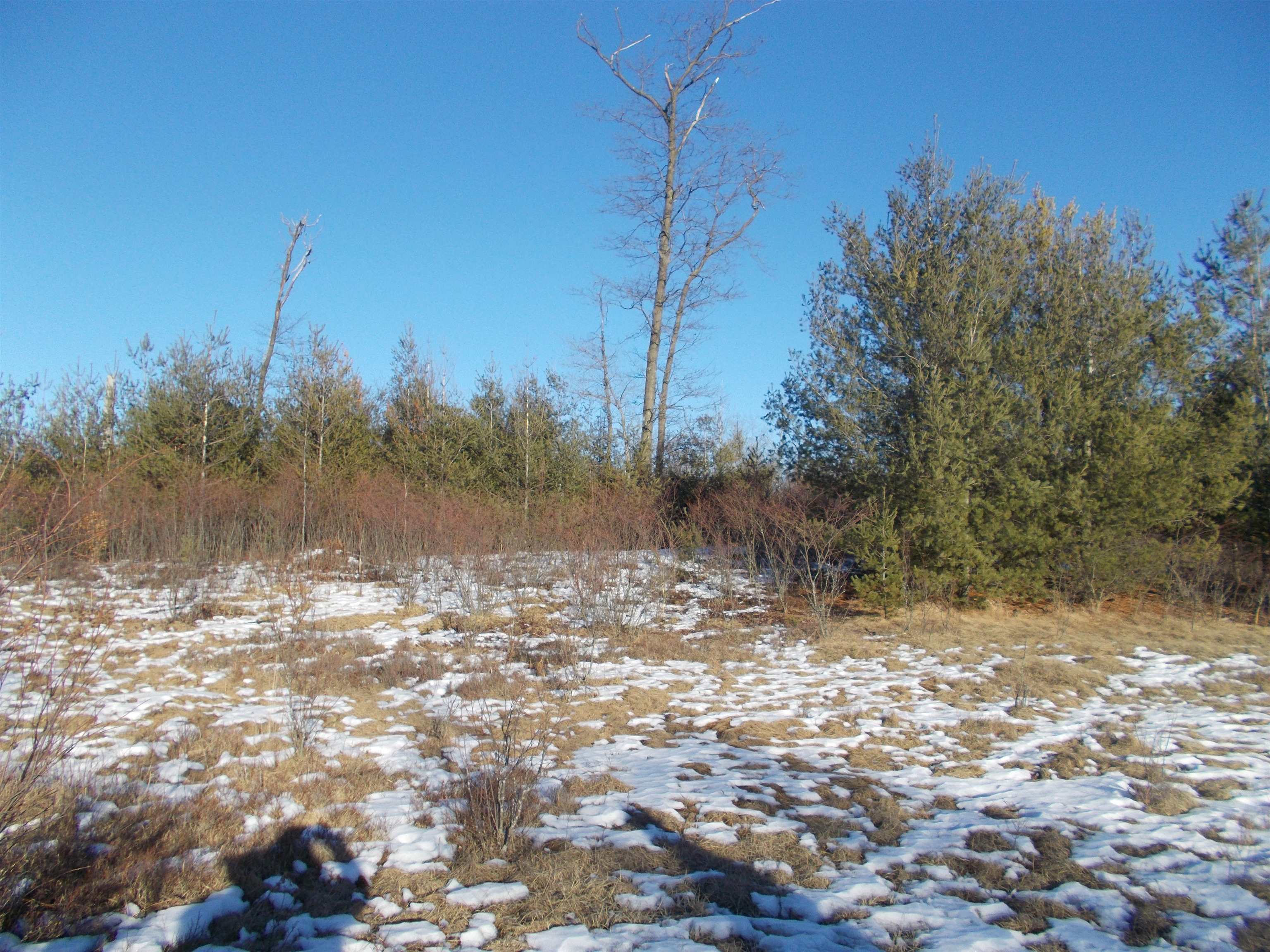 0 East County Line Road Whittemore, MI 48770 - Photo 9 of 22
