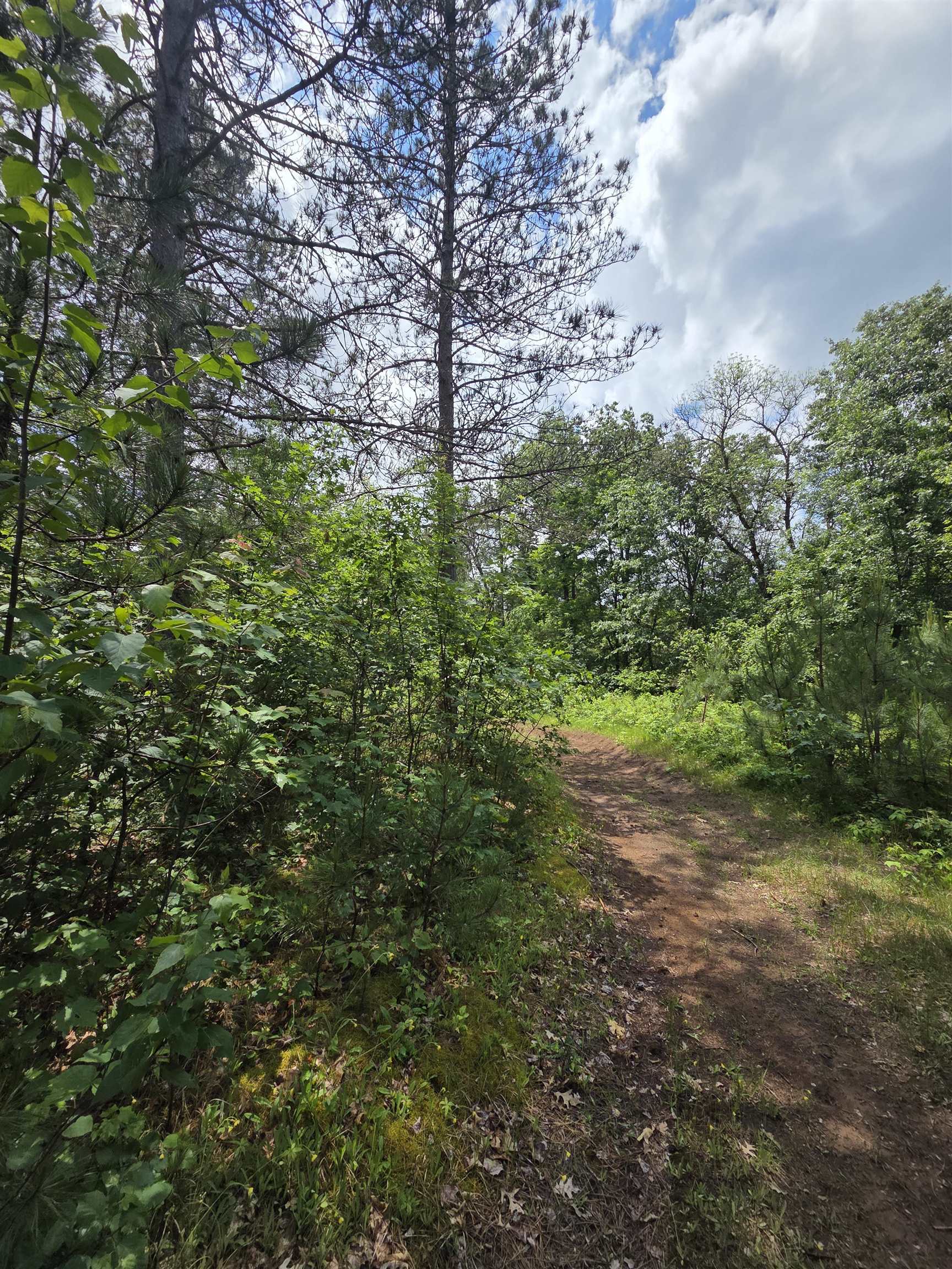 Tower Road Athelstane, WI 54104 - Photo 2 of 25