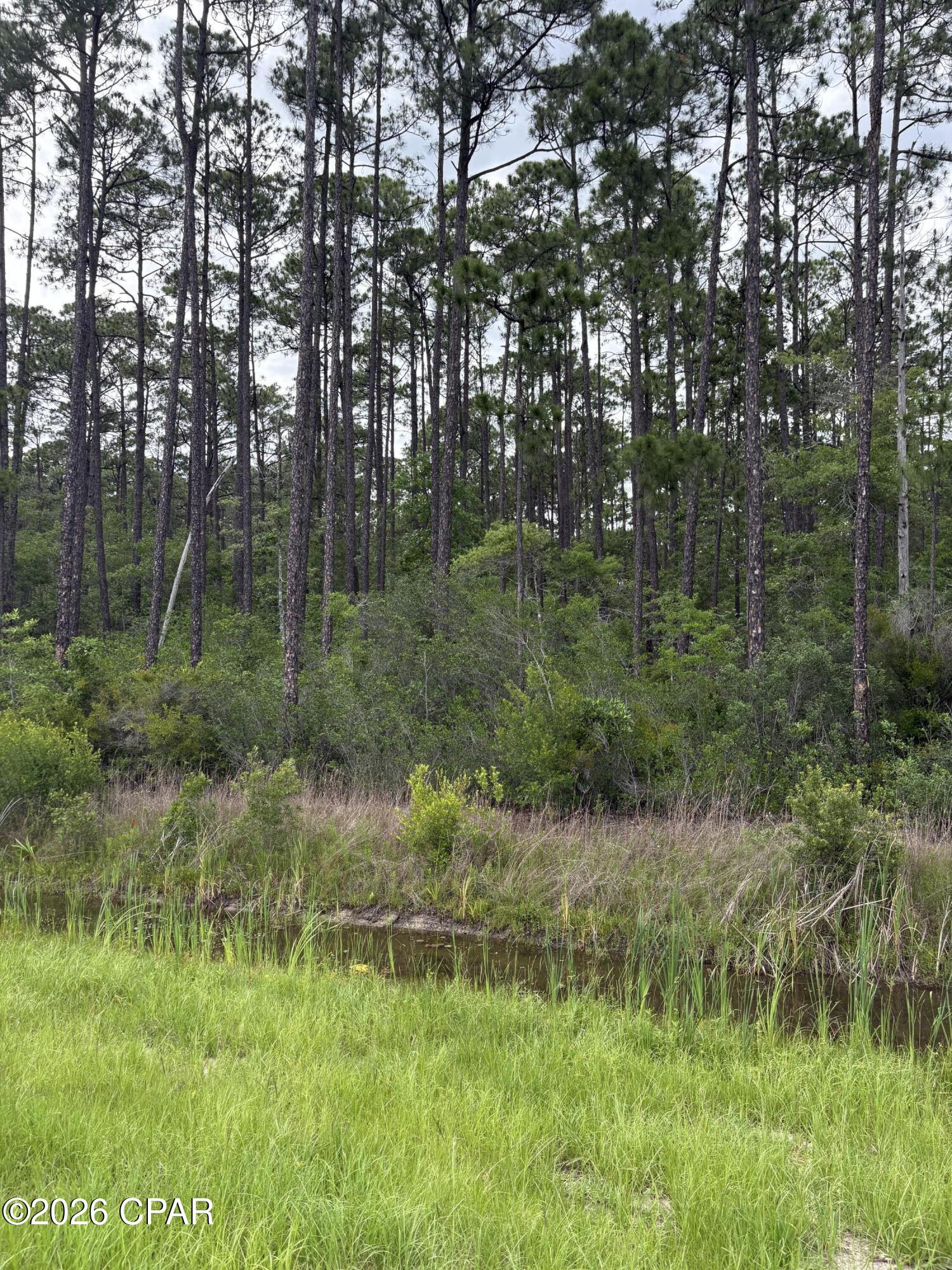 331 South Freeport Freeport, FL 32439 - Photo 7 of 9