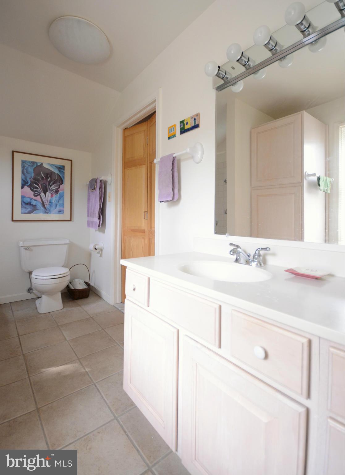 2707 Cheswolde Road Baltimore, MD 21209 - Photo 19 of 26 Bath (Master)