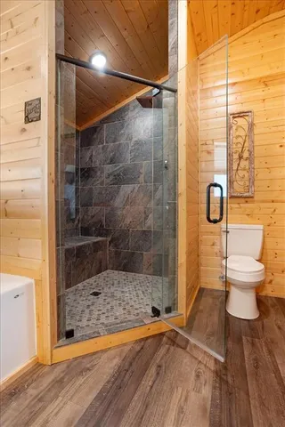 a bathroom with a toilet and a shower