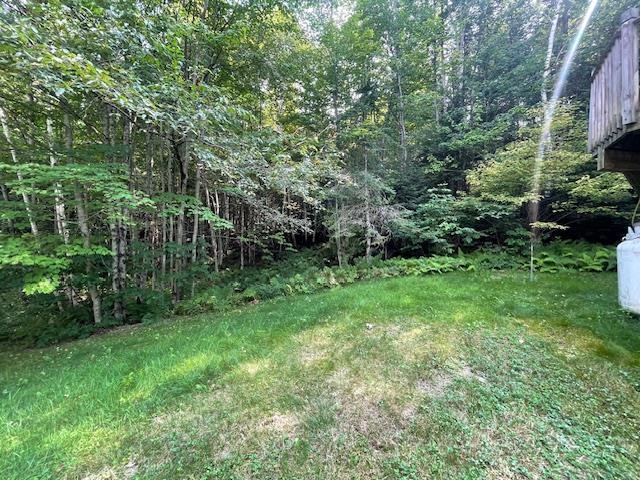 97 Jason Avenue Jefferson, NH 03583 - Photo 42 of 46