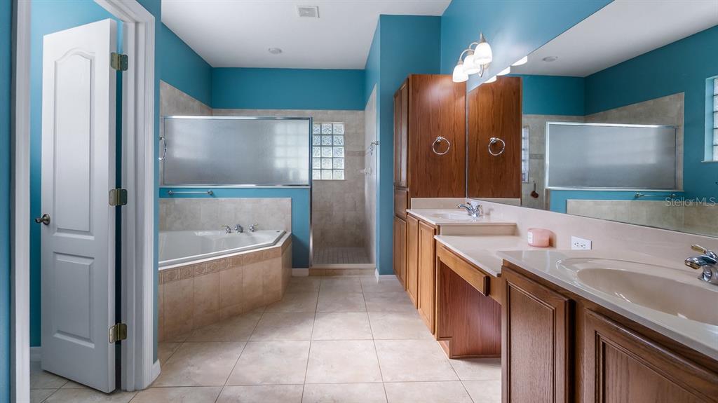 7351 Spring Mountain Lane Yalaha, FL 34797 - Photo 25 of 61